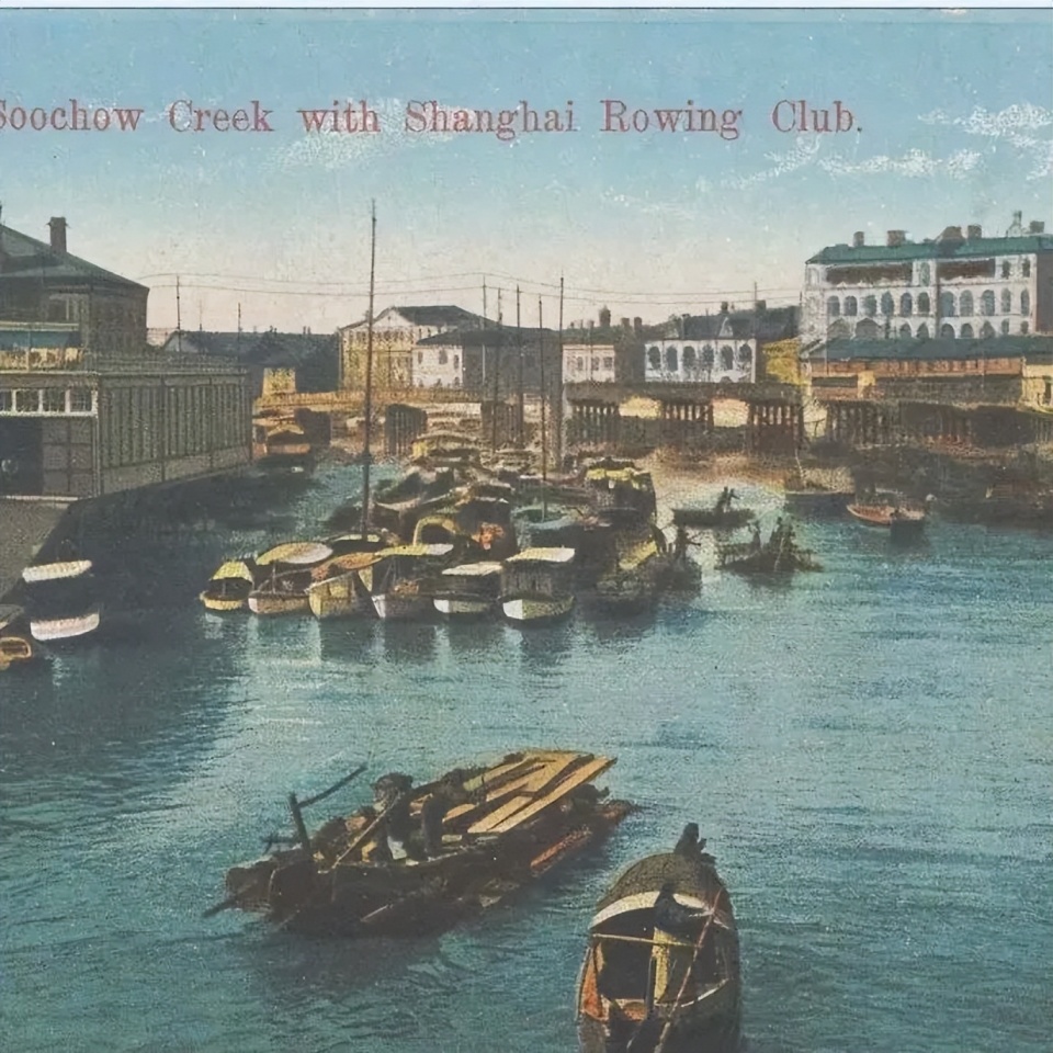 的种子在中 的种子在中