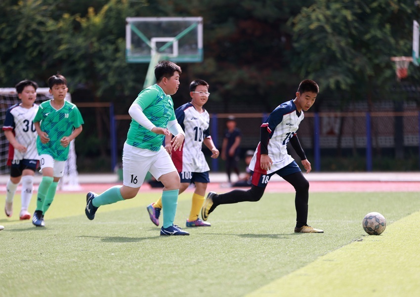 img, 教练的智慧