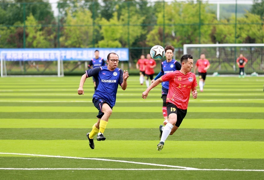 tUv, 为倒挂金钟, com